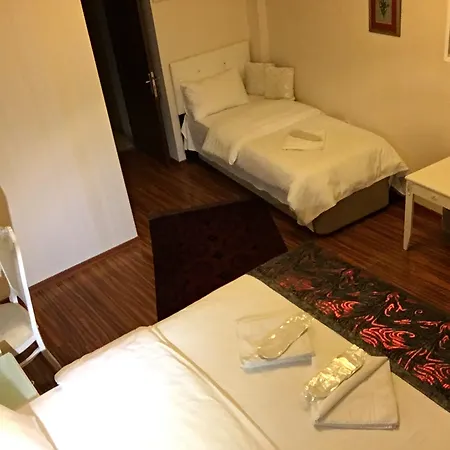 Elisa Hotel 2* Istanbul