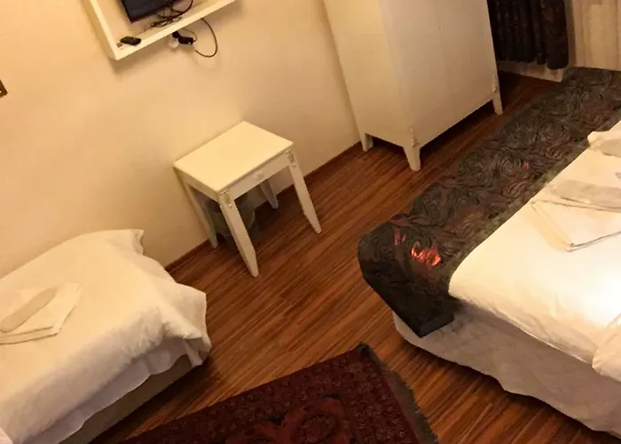 住宿加早餐酒店 Elisa 3*