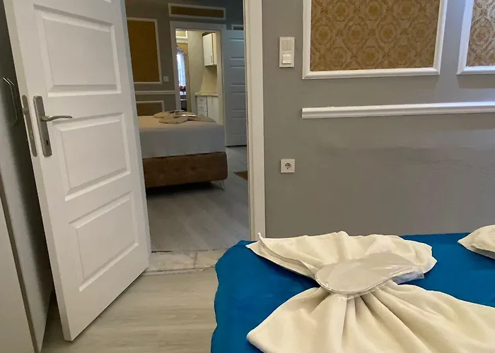 Elisa 伊斯坦布尔